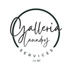 Blue Modern Laundry Service Promotion Mobile Video (1200 x 1200 px)
